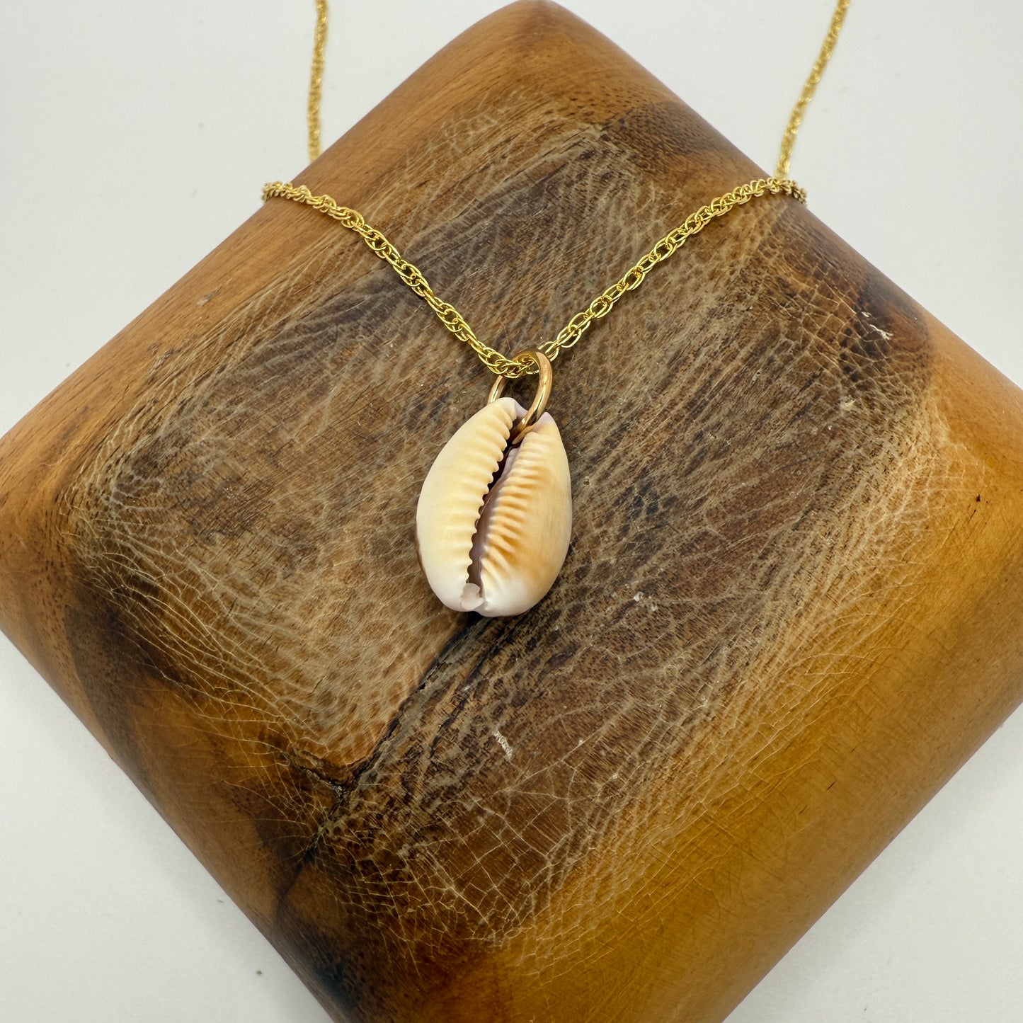 Cowrie Pendant