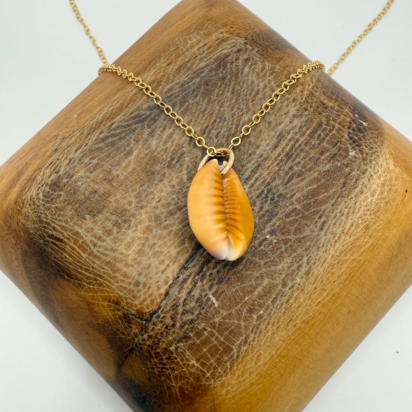 Cowrie Pendant