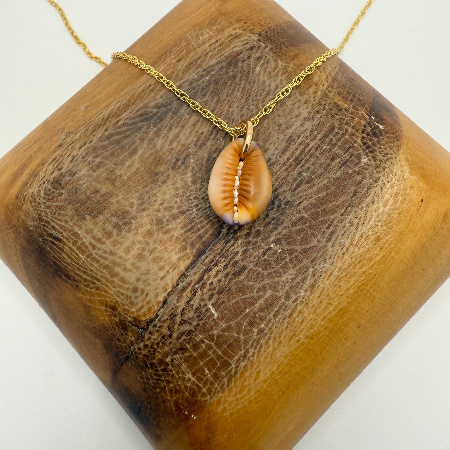 Cowrie Pendant