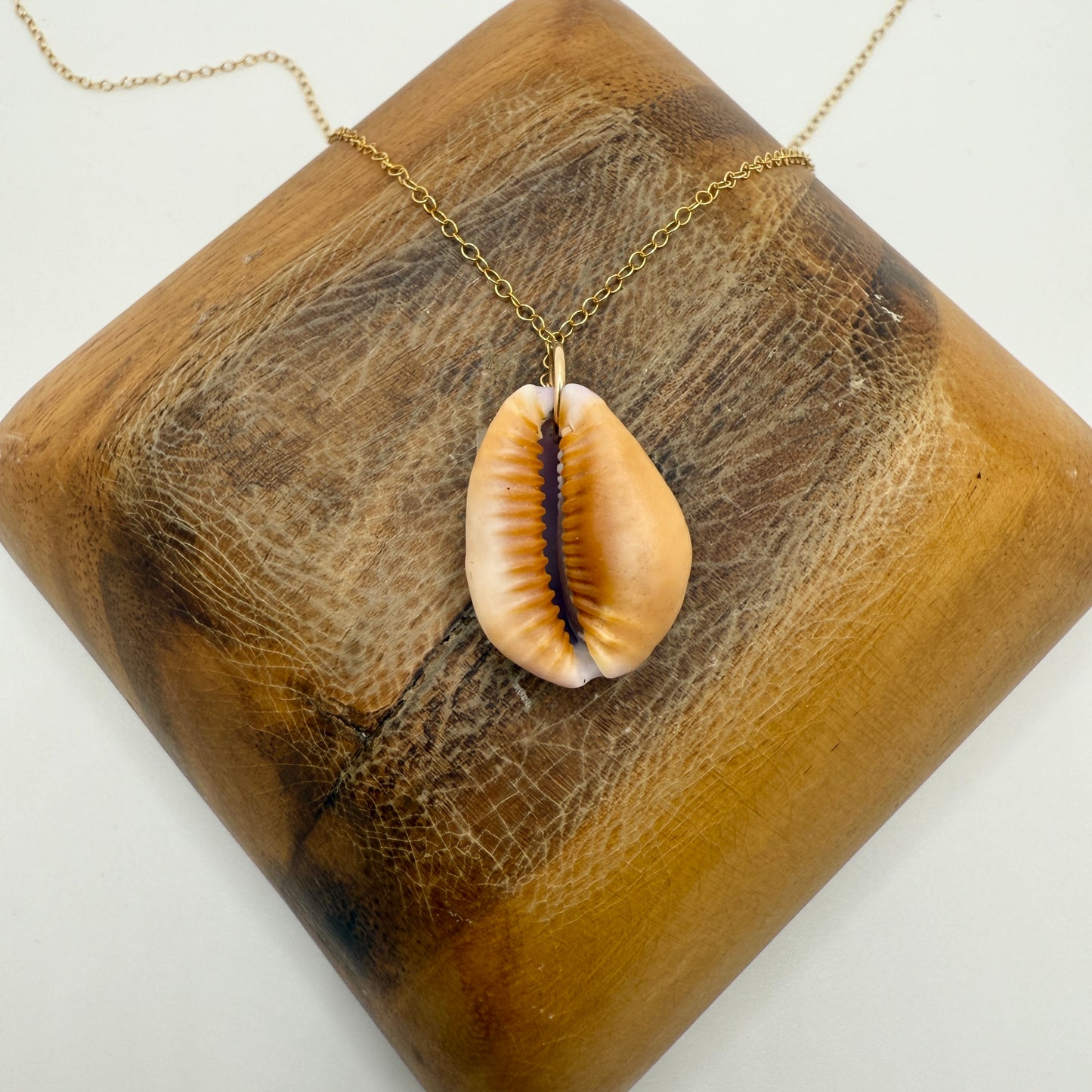 Cowrie Pendant