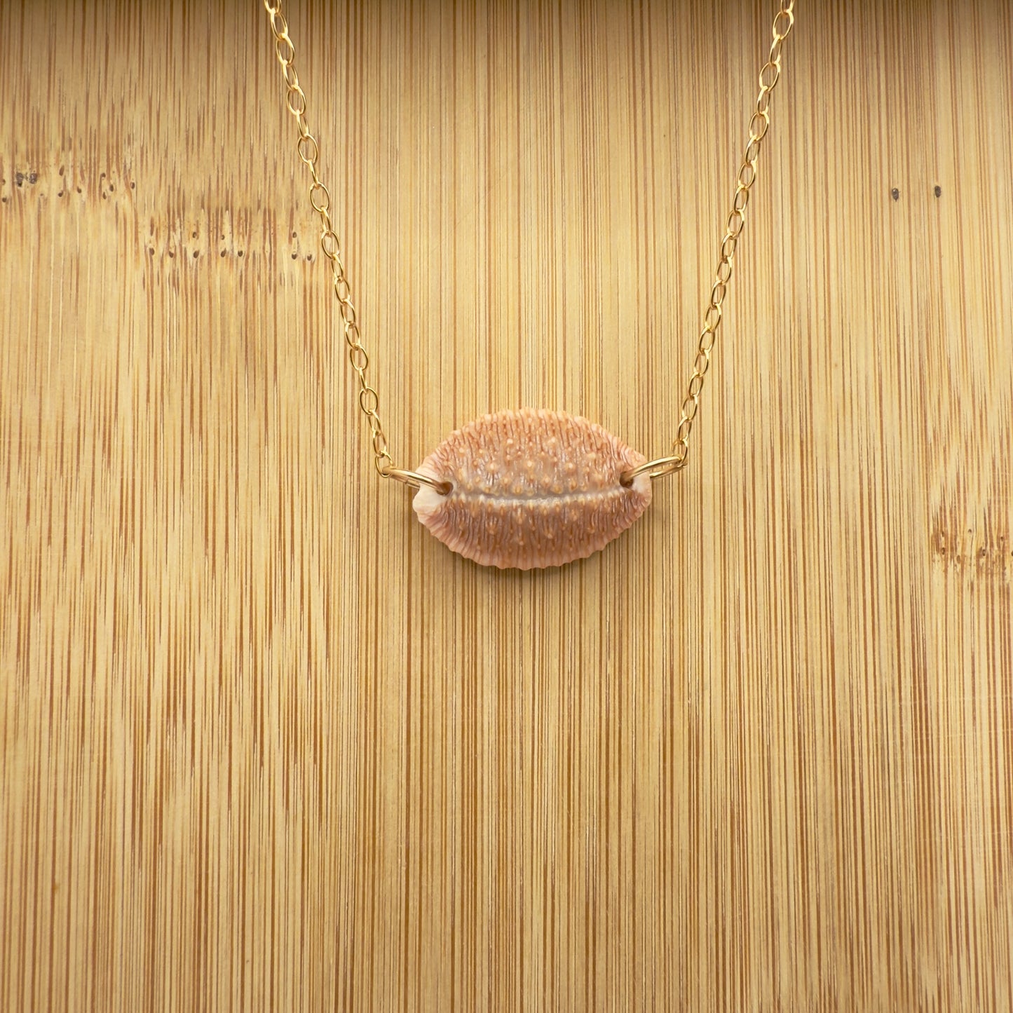 Granulated Cowrie Choker