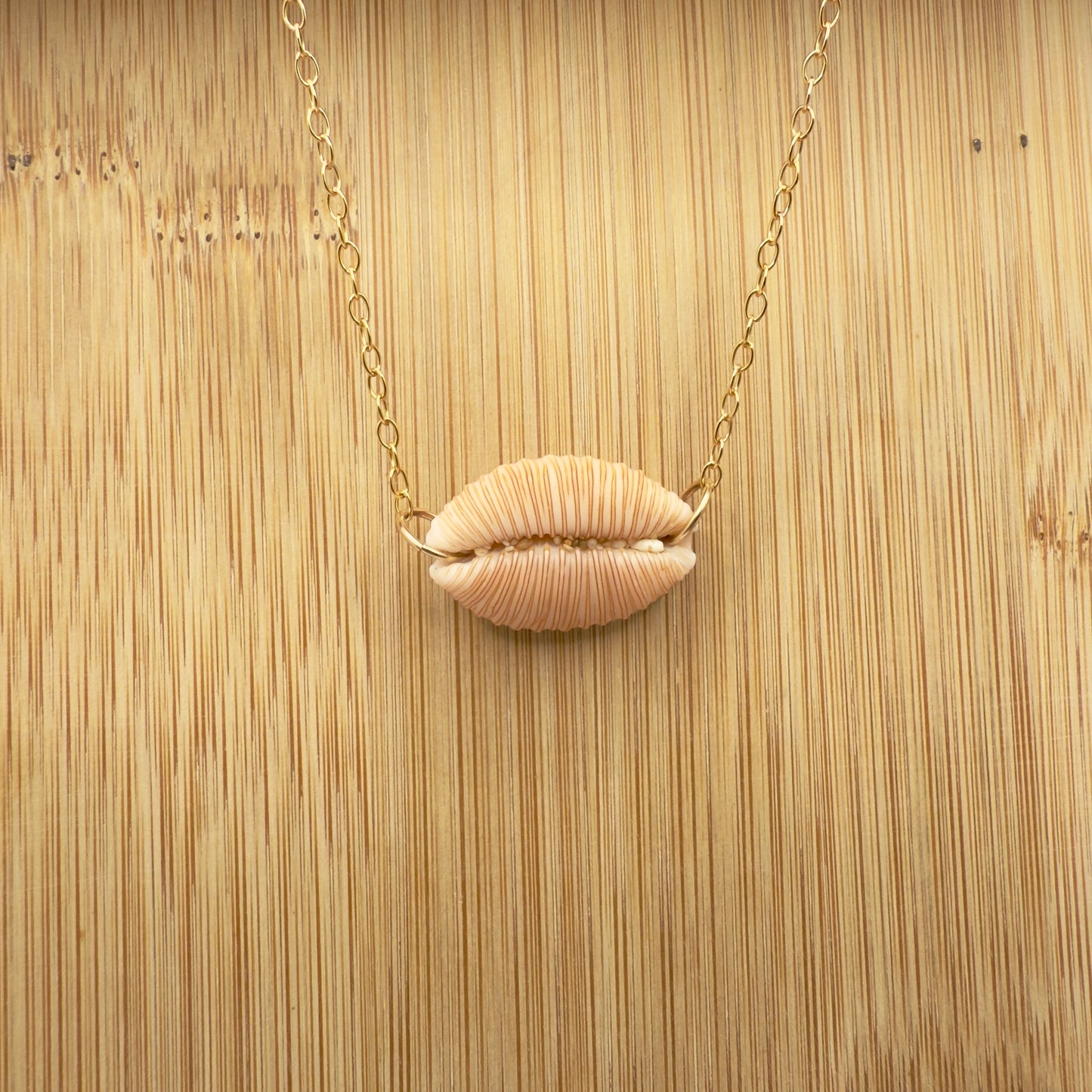 Granulated Cowrie Choker