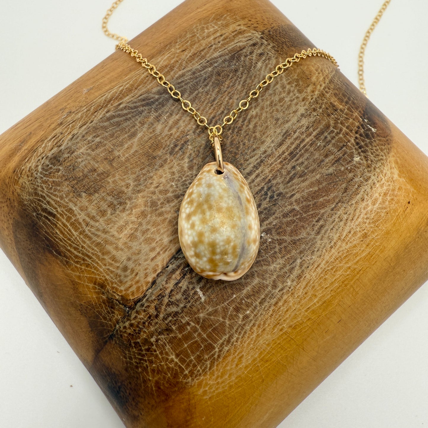 Cowrie Pendant