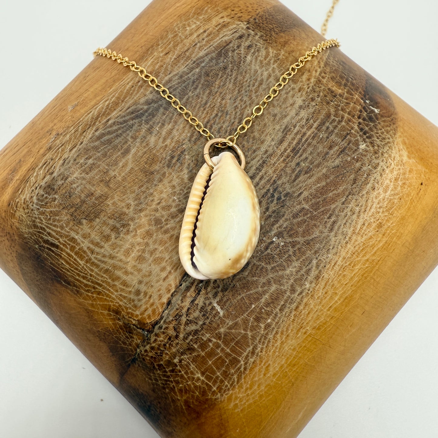 Cowrie Pendant