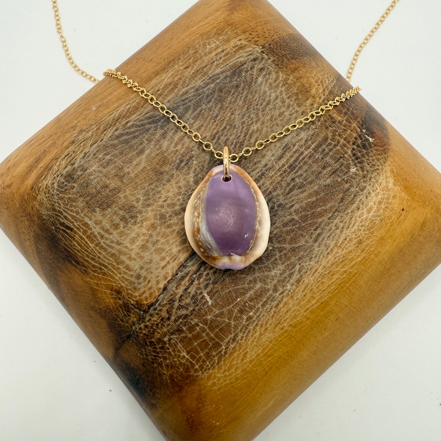 Cowrie Pendant