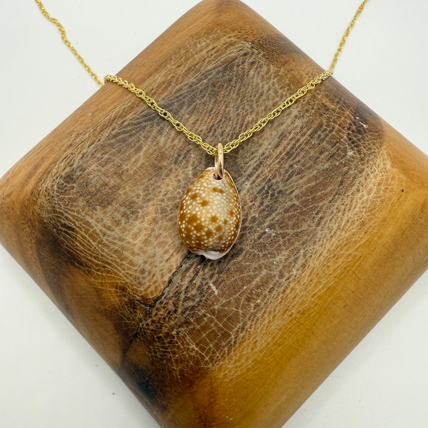 Cowrie Pendant