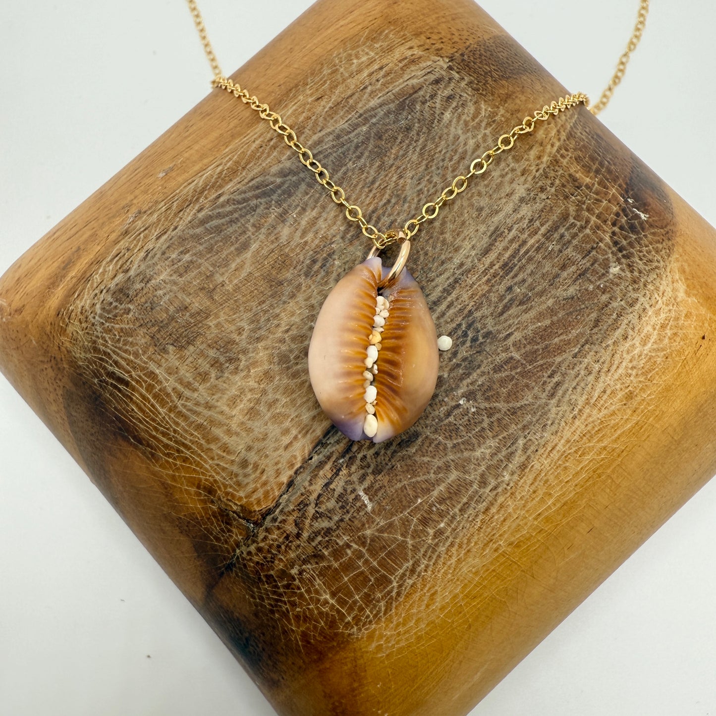 Cowrie Pendant