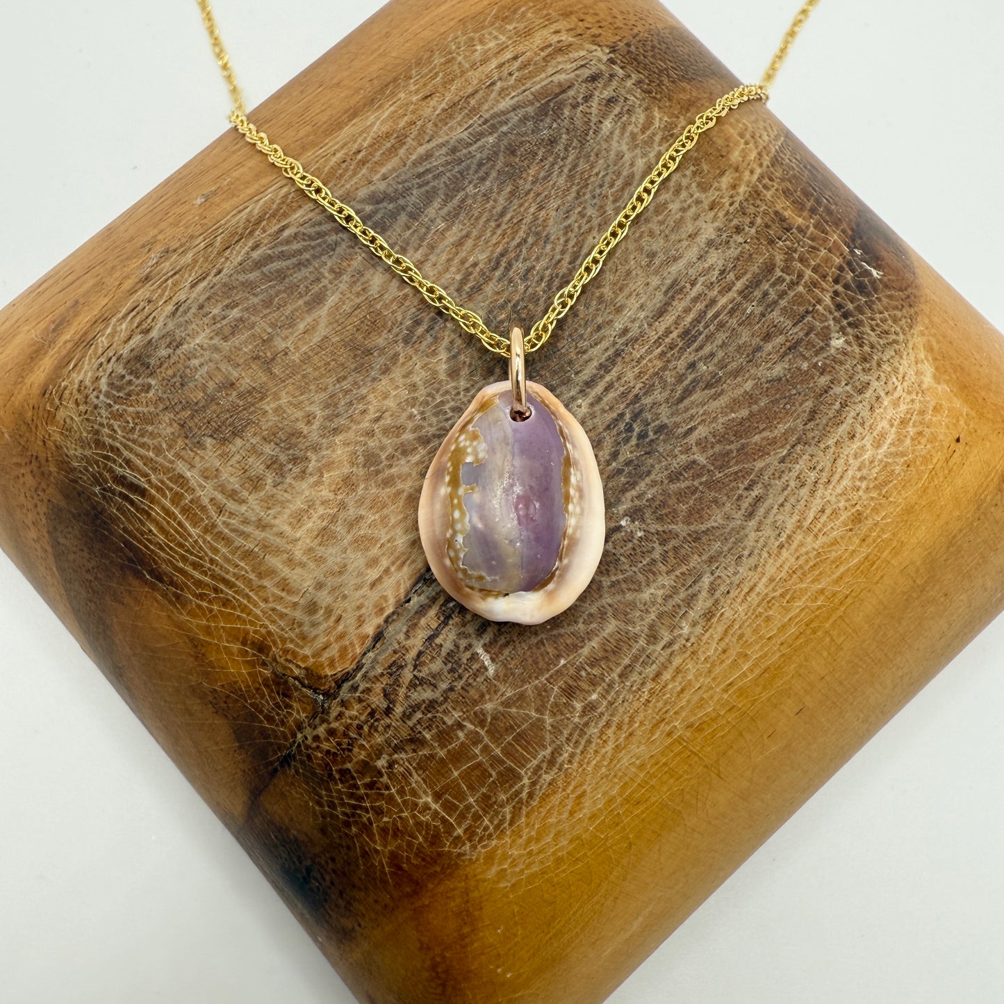 Cowrie Pendant