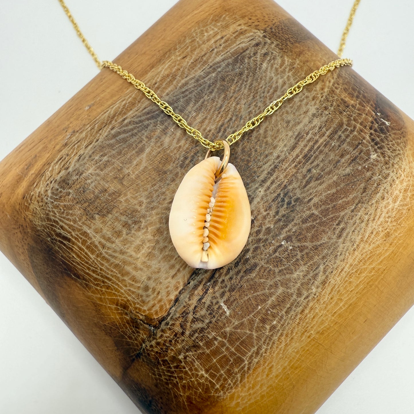 Cowrie Pendant