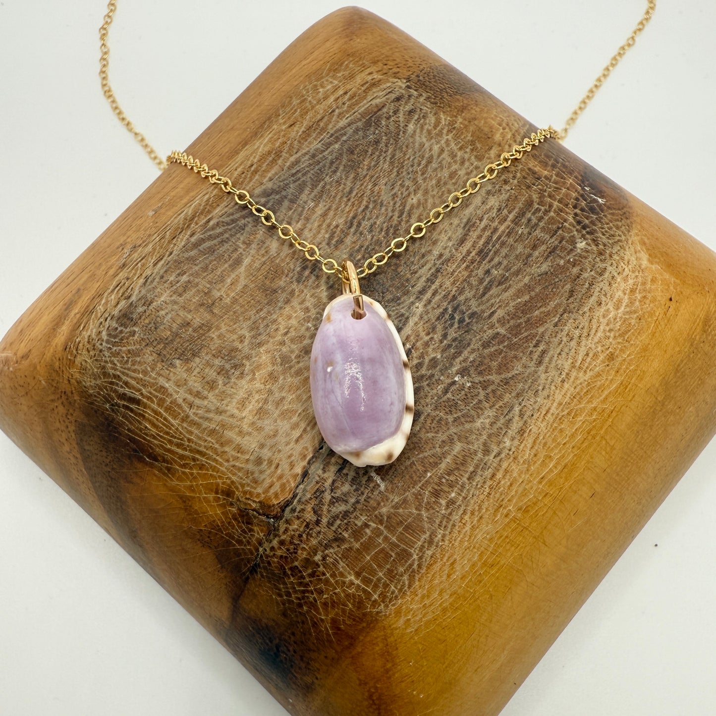 Cowrie Pendant