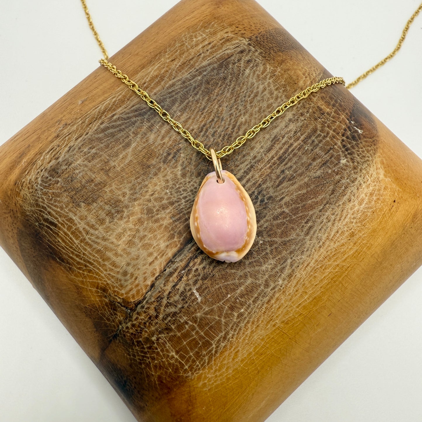 Cowrie Pendant