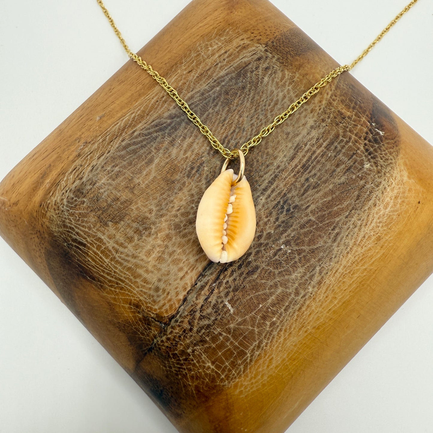 Cowrie Pendant