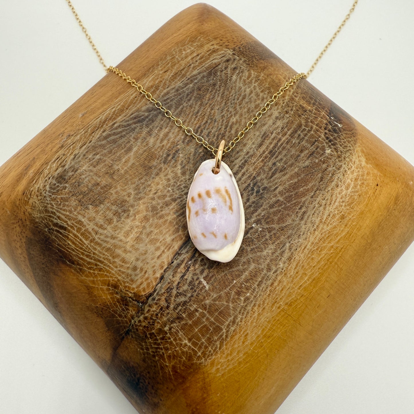 Cowrie Pendant