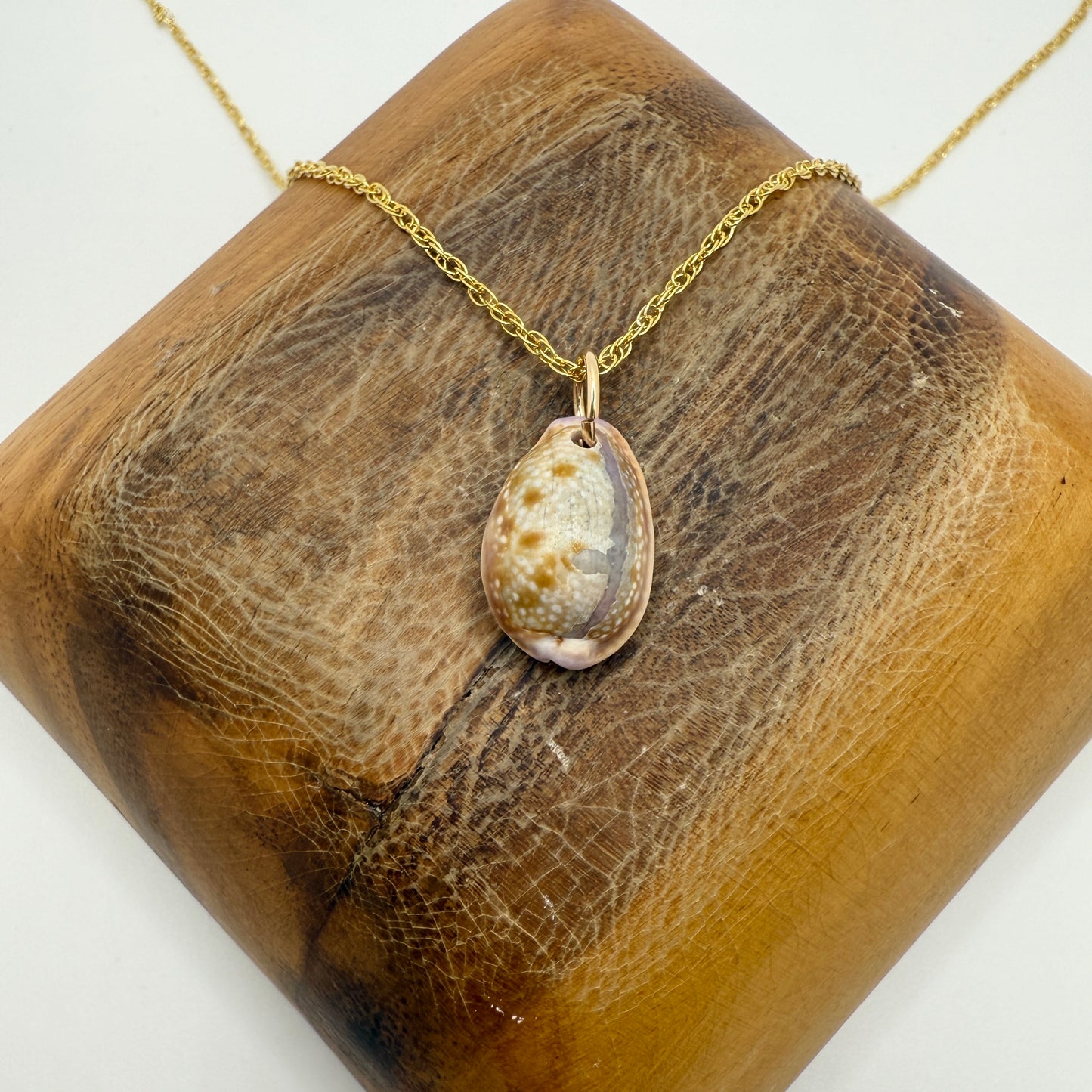 Cowrie Pendant