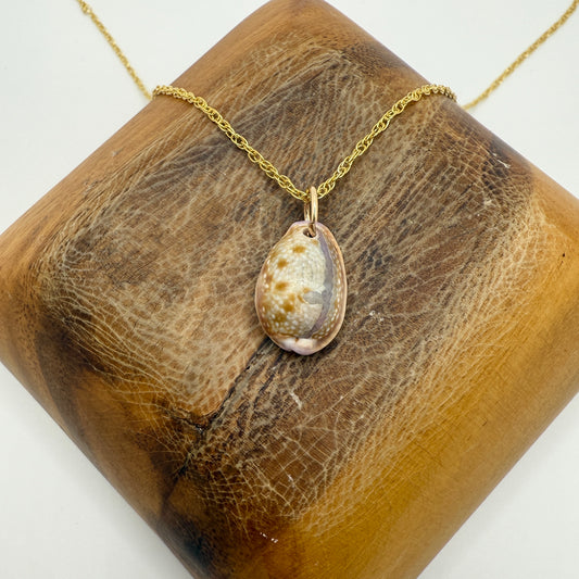 Cowrie Pendant