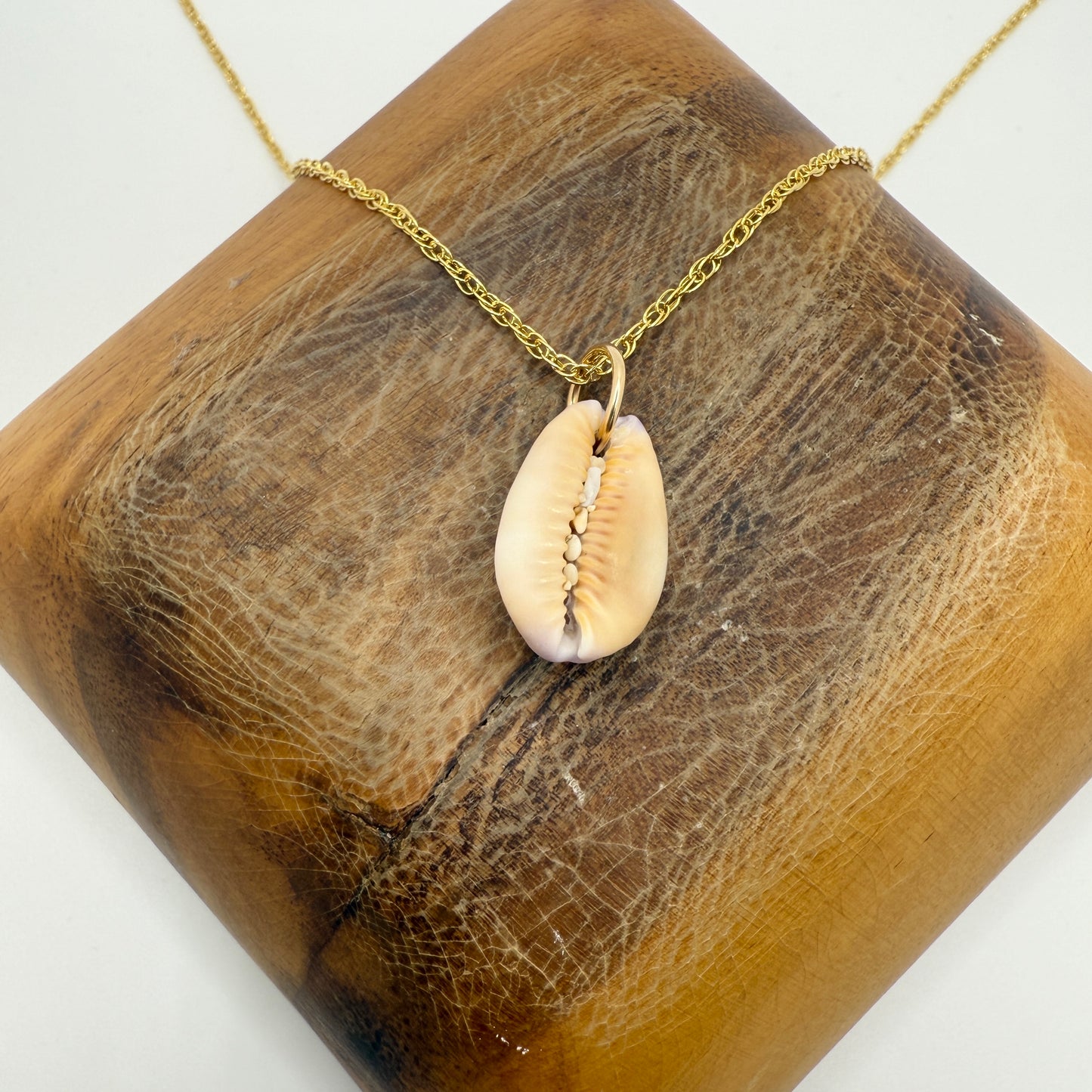 Cowrie Pendant