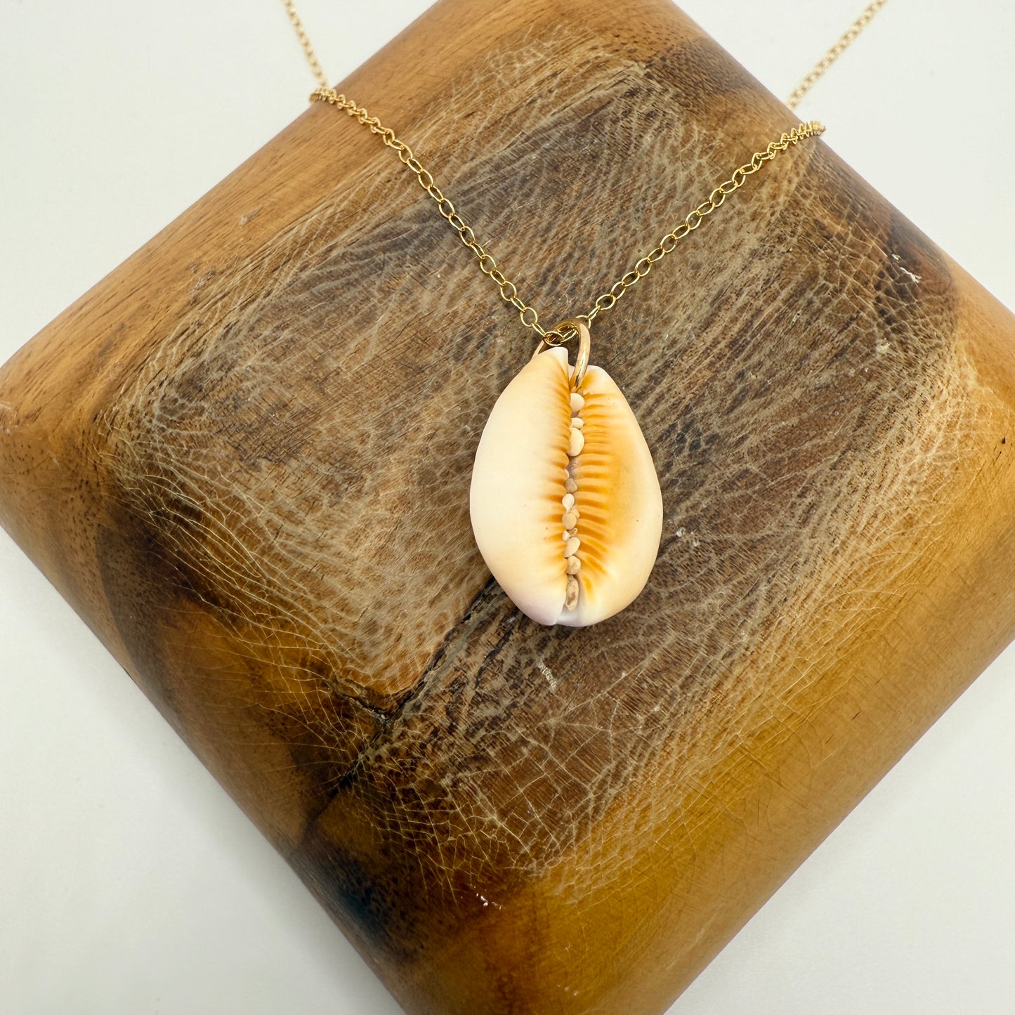 Cowrie Pendant