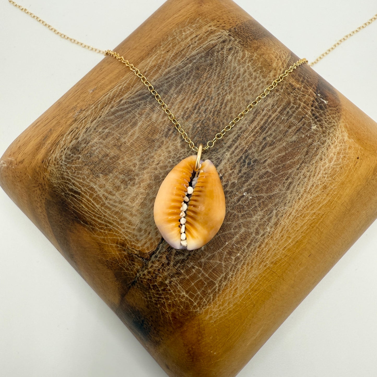 Cowrie Pendant